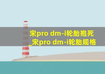 宋pro dm-i轮胎抱死_宋pro dm-i轮胎规格